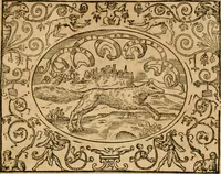 An illustration from Dialogue des devises d'armes et d'amovrs du S. Pavlo Iovio : avec un discours M. Loys Dominique sur le mesme subiet (1561)