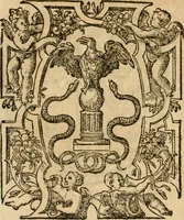 An illustration from Dialogue des devises d'armes et d'amovrs du S. Pavlo Iovio : avec un discours M. Loys Dominique sur le mesme subiet (1561)
