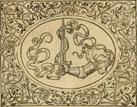 An illustration from Dialogue des devises d'armes et d'amovrs du S. Pavlo Iovio : avec un discours M. Loys Dominique sur le mesme subiet (1561)