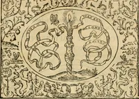 An illustration from Dialogue des devises d'armes et d'amovrs du S. Pavlo Iovio : avec un discours M. Loys Dominique sur le mesme subiet (1561)