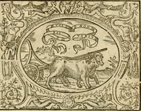 An illustration from Dialogue des devises d'armes et d'amovrs du S. Pavlo Iovio : avec un discours M. Loys Dominique sur le mesme subiet (1561)