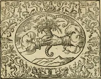 An illustration from Dialogue des devises d'armes et d'amovrs du S. Pavlo Iovio : avec un discours M. Loys Dominique sur le mesme subiet (1561)