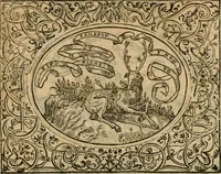 An illustration from Dialogue des devises d'armes et d'amovrs du S. Pavlo Iovio : avec un discours M. Loys Dominique sur le mesme subiet (1561)