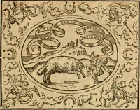 An illustration from Dialogue des devises d'armes et d'amovrs du S. Pavlo Iovio : avec un discours M. Loys Dominique sur le mesme subiet (1561)