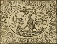 An illustration from Dialogue des devises d'armes et d'amovrs du S. Pavlo Iovio : avec un discours M. Loys Dominique sur le mesme subiet (1561)