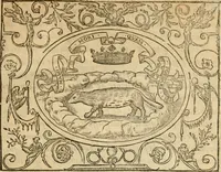 An illustration from Dialogue des devises d'armes et d'amovrs du S. Pavlo Iovio : avec un discours M. Loys Dominique sur le mesme subiet (1561)