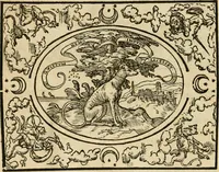 An illustration from Dialogue des devises d'armes et d'amovrs du S. Pavlo Iovio : avec un discours M. Loys Dominique sur le mesme subiet (1561)
