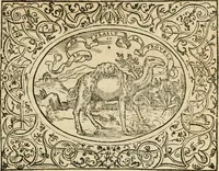 An illustration from Dialogue des devises d'armes et d'amovrs du S. Pavlo Iovio : avec un discours M. Loys Dominique sur le mesme subiet (1561)