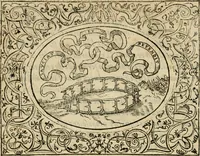 An illustration from Dialogue des devises d'armes et d'amovrs du S. Pavlo Iovio : avec un discours M. Loys Dominique sur le mesme subiet (1561)