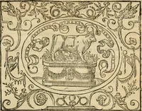 An illustration from Dialogue des devises d'armes et d'amovrs du S. Pavlo Iovio : avec un discours M. Loys Dominique sur le mesme subiet (1561)