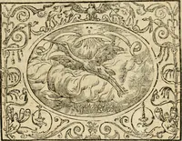 An illustration from Dialogue des devises d'armes et d'amovrs du S. Pavlo Iovio : avec un discours M. Loys Dominique sur le mesme subiet (1561)