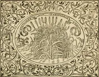 An illustration from Dialogue des devises d'armes et d'amovrs du S. Pavlo Iovio : avec un discours M. Loys Dominique sur le mesme subiet (1561)
