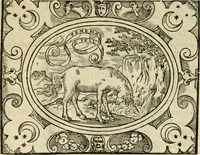 An illustration from Dialogue des devises d'armes et d'amovrs du S. Pavlo Iovio : avec un discours M. Loys Dominique sur le mesme subiet (1561)