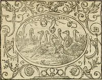 An illustration from Dialogue des devises d'armes et d'amovrs du S. Pavlo Iovio : avec un discours M. Loys Dominique sur le mesme subiet (1561)