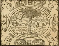 An illustration from Dialogue des devises d'armes et d'amovrs du S. Pavlo Iovio : avec un discours M. Loys Dominique sur le mesme subiet (1561)