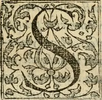 An illustration from Dialogue des devises d'armes et d'amovrs du S. Pavlo Iovio : avec un discours M. Loys Dominique sur le mesme subiet (1561)
