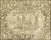 An illustration from Dialogue des devises d'armes et d'amovrs du S. Pavlo Iovio : avec un discours M. Loys Dominique sur le mesme subiet (1561)