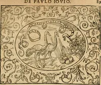 An illustration from Dialogue des devises d'armes et d'amovrs du S. Pavlo Iovio : avec un discours M. Loys Dominique sur le mesme subiet (1561)