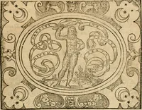 An illustration from Dialogue des devises d'armes et d'amovrs du S. Pavlo Iovio : avec un discours M. Loys Dominique sur le mesme subiet (1561)