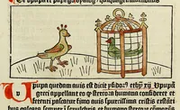 Picture 27 of 55 from Dyalog[us] creaturaru[m] moralizat[us] : omni materie morali iocu[n]do et edificatiuo modo applicabilis, leaf 107