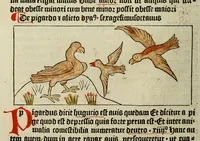 An illustration from Dyalog[us] creaturaru[m] moralizat[us] : omni materie morali iocu[n]do et edificatiuo modo applicabilis