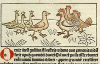 An illustration from Dyalog[us] creaturaru[m] moralizat[us] : omni materie morali iocu[n]do et edificatiuo modo applicabilis