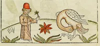 Picture 32 of 55 from Dyalog[us] creaturaru[m] moralizat[us] : omni materie morali iocu[n]do et edificatiuo modo applicabilis, leaf 131