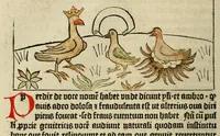 An illustration from Dyalog[us] creaturaru[m] moralizat[us] : omni materie morali iocu[n]do et edificatiuo modo applicabilis