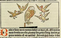 An illustration from Dyalog[us] creaturaru[m] moralizat[us] : omni materie morali iocu[n]do et edificatiuo modo applicabilis