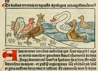 An illustration from Dyalog[us] creaturaru[m] moralizat[us] : omni materie morali iocu[n]do et edificatiuo modo applicabilis