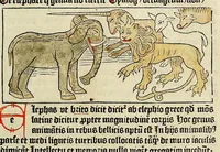 An illustration from Dyalog[us] creaturaru[m] moralizat[us] : omni materie morali iocu[n]do et edificatiuo modo applicabilis