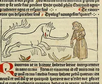 Picture 41 of 55 from Dyalog[us] creaturaru[m] moralizat[us] : omni materie morali iocu[n]do et edificatiuo modo applicabilis, leaf 161
