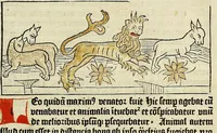 An illustration from Dyalog[us] creaturaru[m] moralizat[us] : omni materie morali iocu[n]do et edificatiuo modo applicabilis