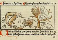 An illustration from Dyalog[us] creaturaru[m] moralizat[us] : omni materie morali iocu[n]do et edificatiuo modo applicabilis