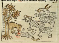 Picture 52 of 55 from Dyalog[us] creaturaru[m] moralizat[us] : omni materie morali iocu[n]do et edificatiuo modo applicabilis, leaf 190
