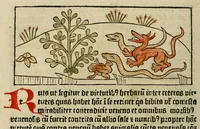An illustration from Dyalog[us] creaturaru[m] moralizat[us] : omni materie morali iocu[n]do et edificatiuo modo applicabilis