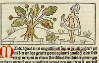 An illustration from Dyalog[us] creaturaru[m] moralizat[us] : omni materie morali iocu[n]do et edificatiuo modo applicabilis