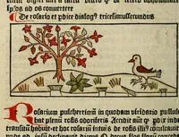 An illustration from Dyalog[us] creaturaru[m] moralizat[us] : omni materie morali iocu[n]do et edificatiuo modo applicabilis
