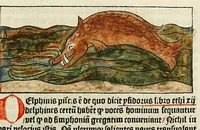 Picture 14 of 55 from Dyalog[us] creaturaru[m] moralizat[us] : omni materie morali iocu[n]do et edificatiuo modo applicabilis, leaf 77
