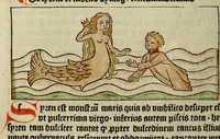 An illustration from Dyalog[us] creaturaru[m] moralizat[us] : omni materie morali iocu[n]do et edificatiuo modo applicabilis