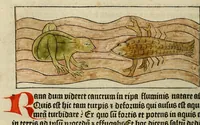 An illustration from Dyalog[us] creaturaru[m] moralizat[us] : omni materie morali iocu[n]do et edificatiuo modo applicabilis