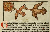 An illustration from Dyalog[us] creaturaru[m] moralizat[us] : omni materie morali iocu[n]do et edificatiuo modo applicabilis