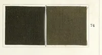 An illustration from Diamine colours on cotton treated with sulphate of copper (1898)