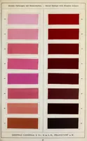 An illustration from Diamin- und Diaminechtfarben auf Baumwoll-Stückware = Diamine and Diamine fast colours on cotton piece-goods (1900)