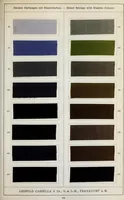 An illustration from Diamin- und Diaminechtfarben auf Baumwoll-Stückware = Diamine and Diamine fast colours on cotton piece-goods (1900)