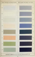 An illustration from Diamin- und Diaminechtfarben auf Baumwoll-Stückware = Diamine and Diamine fast colours on cotton piece-goods (1900)