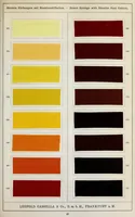 An illustration from Diamin- und Diaminechtfarben auf Baumwoll-Stückware = Diamine and Diamine fast colours on cotton piece-goods (1900)