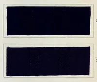 An illustration from Diamin- und Diaminechtfarben auf Baumwoll-Stückware = Diamine and Diamine fast colours on cotton piece-goods (1900)