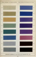 An illustration from Diamin- und Diaminechtfarben auf Baumwoll-Stückware = Diamine and Diamine fast colours on cotton piece-goods (1900)