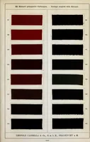 An illustration from Diamin- und Diaminechtfarben auf Baumwoll-Stückware = Diamine and Diamine fast colours on cotton piece-goods (1900)
